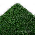 Carpet Grass Price for Golf